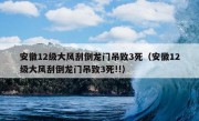 安徽12级大风刮倒龙门吊致3死（安徽12级大风刮倒龙门吊致3死!!）