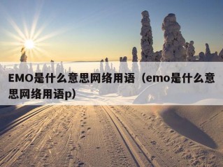 EMO是什么意思网络用语（emo是什么意思网络用语p）