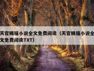 天官赐福小说全文免费阅读（天官赐福小说全文免费阅读TXT）