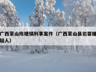 广西蒙山陈塘镇刑事案件（广西蒙山县犯罪嫌疑人）