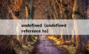 undefined（undefined reference to）