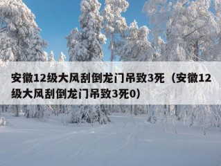 安徽12级大风刮倒龙门吊致3死（安徽12级大风刮倒龙门吊致3死0）