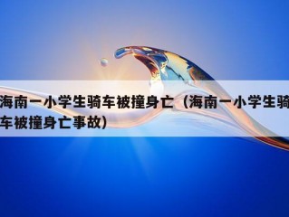 海南一小学生骑车被撞身亡（海南一小学生骑车被撞身亡事故）