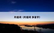 片组词（片组词 多音字）