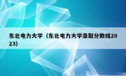 东北电力大学（东北电力大学录取分数线2023）