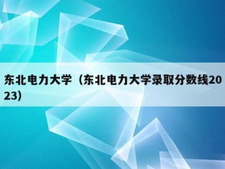 东北电力大学（东北电力大学录取分数线2023）