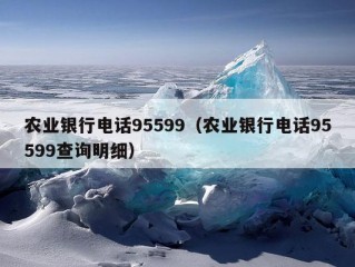 农业银行电话95599（农业银行电话95599查询明细）