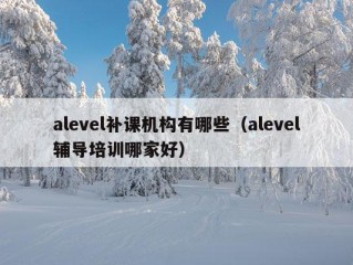 alevel补课机构有哪些（alevel辅导培训哪家好）