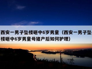 西安一男子坠楼砸中6岁男童（西安一男子坠楼砸中6岁男童母猪产后如何护理）