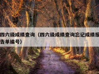 四六级成绩查询（四六级成绩查询忘记成绩报告单编号）