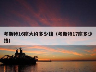 考斯特16座大约多少钱（考斯特17座多少钱）