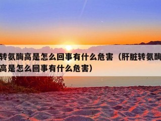 转氨酶高是怎么回事有什么危害（肝脏转氨酶高是怎么回事有什么危害）