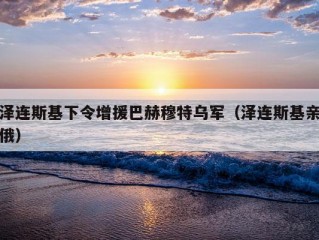 泽连斯基下令增援巴赫穆特乌军（泽连斯基亲俄）