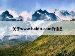 关于www.baidu.com的信息