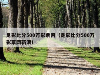 足彩比分500万彩票网（足彩比分500万彩票网新浪）