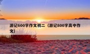 游记600字作文初二（游记800字高中作文）