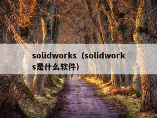 solidworks（solidworks是什么软件）