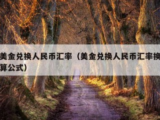 美金兑换人民币汇率（美金兑换人民币汇率换算公式）