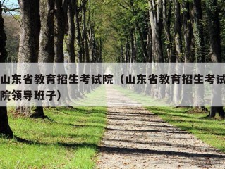 山东省教育招生考试院（山东省教育招生考试院领导班子）