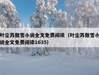 叶尘苏傲雪小说全文免费阅读（叶尘苏傲雪小说全文免费阅读1635）