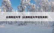 云南财经大学（云南财经大学招生简章）