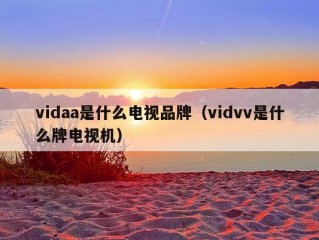 vidaa是什么电视品牌（vidvv是什么牌电视机）