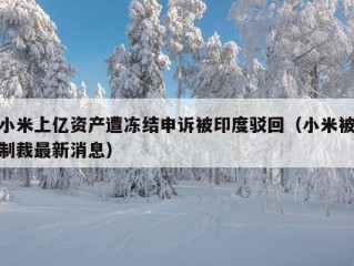 小米上亿资产遭冻结申诉被印度驳回（小米被制裁最新消息）