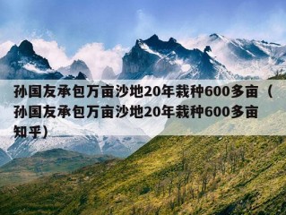 孙国友承包万亩沙地20年栽种600多亩（孙国友承包万亩沙地20年栽种600多亩 知乎）