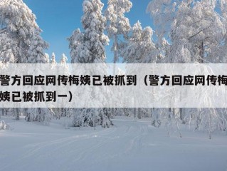 警方回应网传梅姨已被抓到（警方回应网传梅姨已被抓到一）