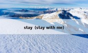 stay（stay with me）