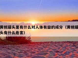 黄桃罐头里有什么对人体有益的成分（黄桃罐头有什么危害）