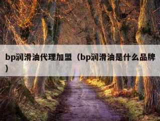 bp润滑油代理加盟（bp润滑油是什么品牌）