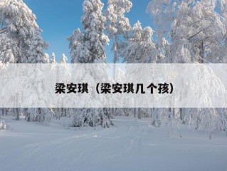 梁安琪（梁安琪几个孩）