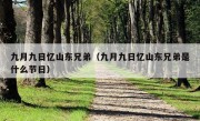 九月九日忆山东兄弟（九月九日忆山东兄弟是什么节日）