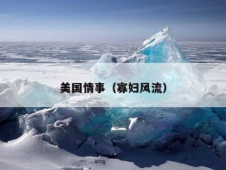 美国情事（寡妇风流）