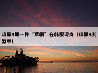 暗黑4第一件“军帽”在韩服现身（暗黑4孔盔甲）