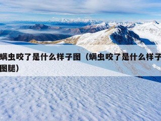 螨虫咬了是什么样子图（螨虫咬了是什么样子图腿）