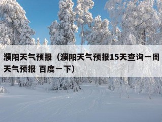 濮阳天气预报（濮阳天气预报15天查询一周天气预报 百度一下）