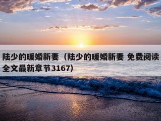 陆少的暖婚新妻（陆少的暖婚新妻 免费阅读全文最新章节3167）