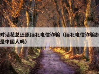 对话花总还原缅北电信诈骗（缅北电信诈骗都是中国人吗）