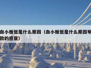 血小板低是什么原因（血小板低是什么原因导致的感冒）