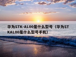 华为STK-AL00是什么型号（华为STKAL00是什么型号手机）