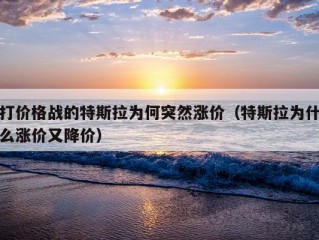 打价格战的特斯拉为何突然涨价（特斯拉为什么涨价又降价）