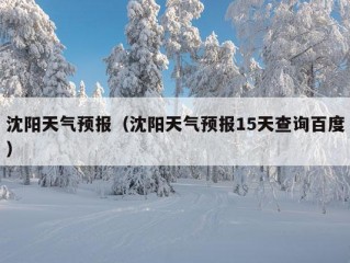 沈阳天气预报（沈阳天气预报15天查询百度）