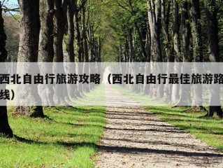 西北自由行旅游攻略（西北自由行最佳旅游路线）