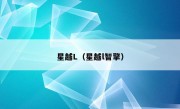 星越L（星越l智擎）