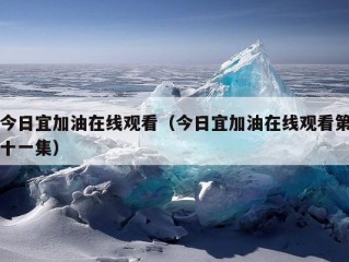 今日宜加油在线观看（今日宜加油在线观看第十一集）