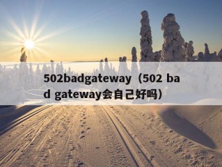 502badgateway（502 bad gateway会自己好吗）