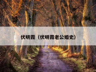 伏明霞（伏明霞老公婚史）