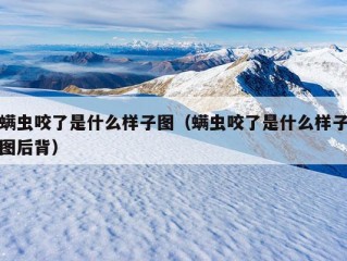 螨虫咬了是什么样子图（螨虫咬了是什么样子图后背）